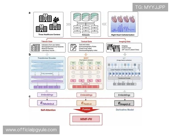 皇冠真人评测揭示平台优势与用户真实体验的深度分析